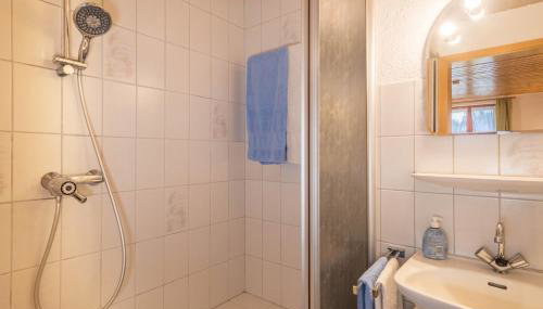 Ferienhof Wetzel Fewo 1 - Foto 3