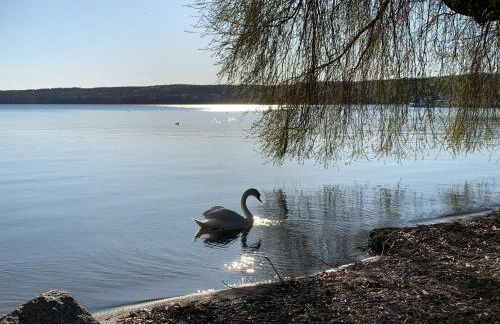 Ferienwohnung Kranichnest - Foto 49