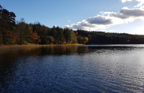 Villa Stare Osieczno - Foto 63