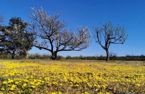 Mainschleifenherz - Foto 34