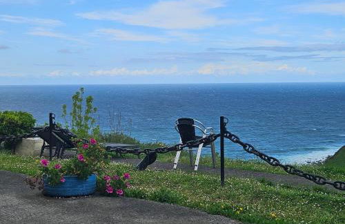 Gure ametsa - Foto 2