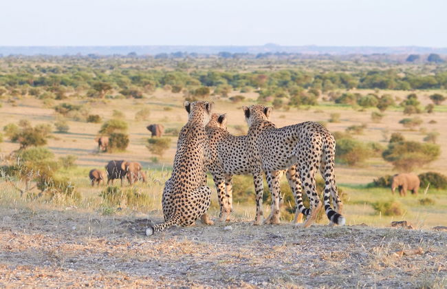 Shalimpo Safari Home - Mashatu Game Reserve - Foto 14