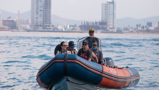 Avistamiento de ballenas en Mazatlán - Tour de medio día - Foto 2