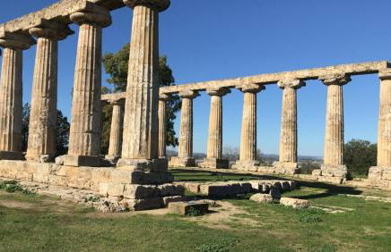 biodelfico, Policoro, Matera, Montalbano, mare - Foto 44
