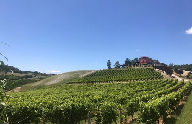 Cascina Liebe Whirlpool Sauna Monferrato CXL OCT 2023 - Foto 89