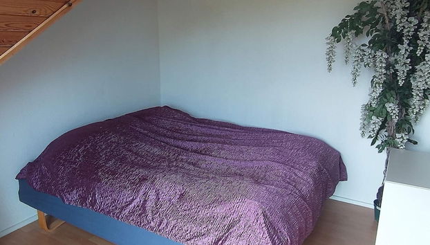 8 Person Holiday Home in Roslev - Foto 2, Habitación