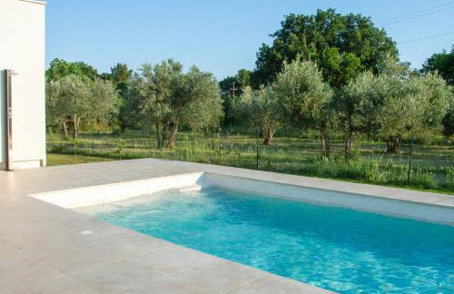 Casa Pepe - Photo 10