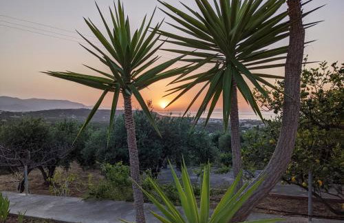 House of Polymnia - Photo 54