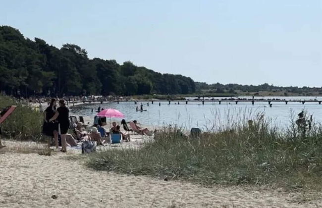 4 Star Holiday Home in Solvesborg - Photo 1