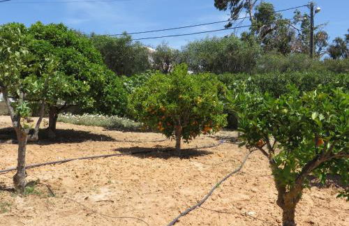 Villa Cristina e Ricardo - Foto 27