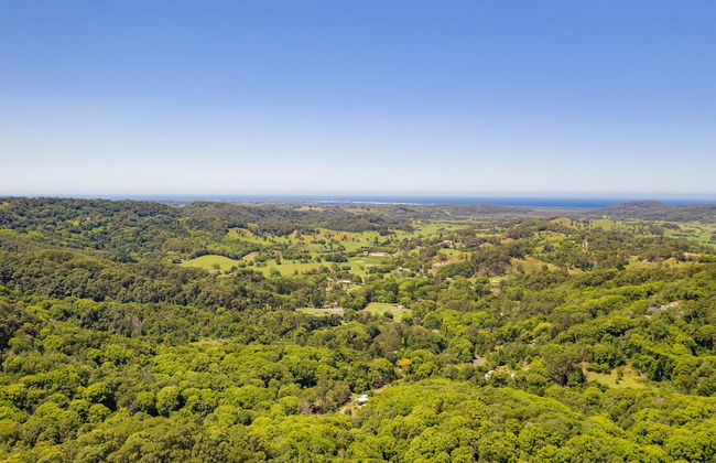 Clothiers Creek Farm - Photo 38