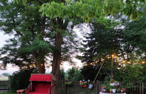 Gniazdo w Felicjanowie - Foto 33