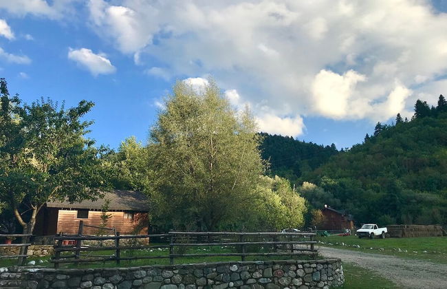 Farma Sotira - Foto 16