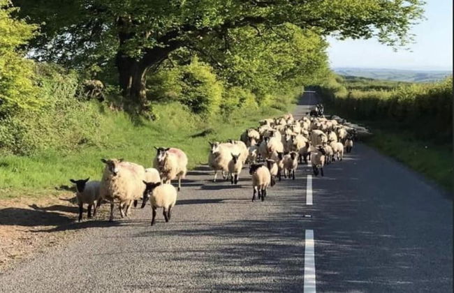 Recently Renovated 3-bed Apartment on Exmoor - Foto 7