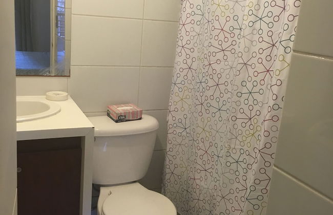 Santa Rosa Apartment, Santiago Downtown - Photo 11