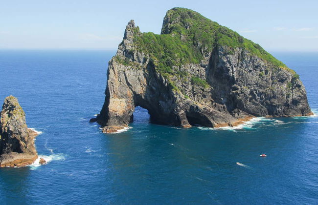 Escursione alla Bay of Islands - Foto 2