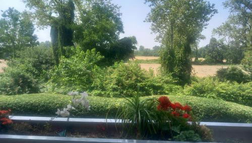 PESCHIERA Borromeo - Foto 2, Garden view