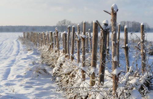 Naturgarten Karlsfeld in der schönen Lausitz - Foto 4