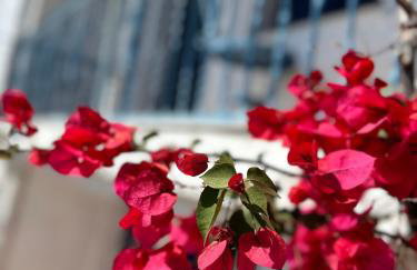 Viewtyhouse - Foto 5