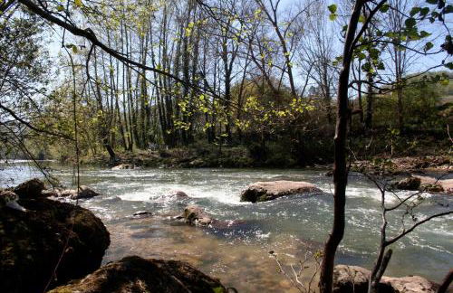 Las Casas Rurales Huerta San Benito - Foto 44