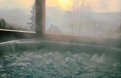 Willa Jeleń - Foto 11