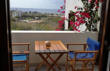 Dina's Diamond - Foto 35