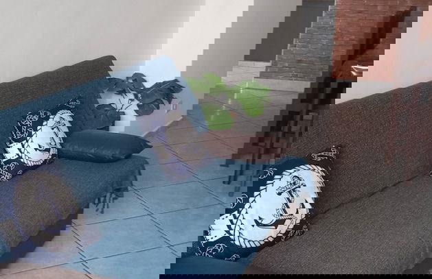 Apto Frete mar vista panorâmica Praia - Foto 6