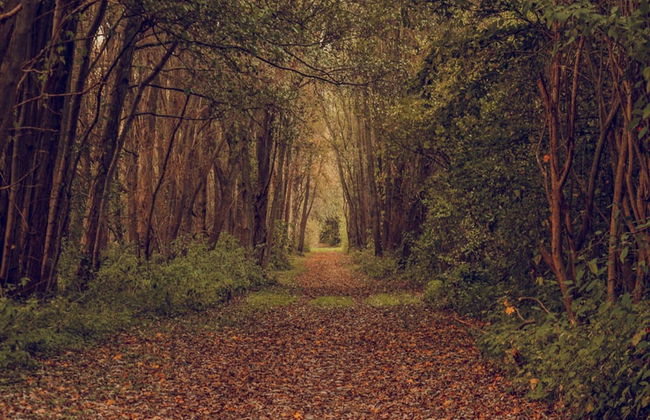 Ferienwohnung Weitblick in Schlagsdorf - Foto 17