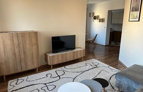 Apartament Wałbrzych - Foto 12