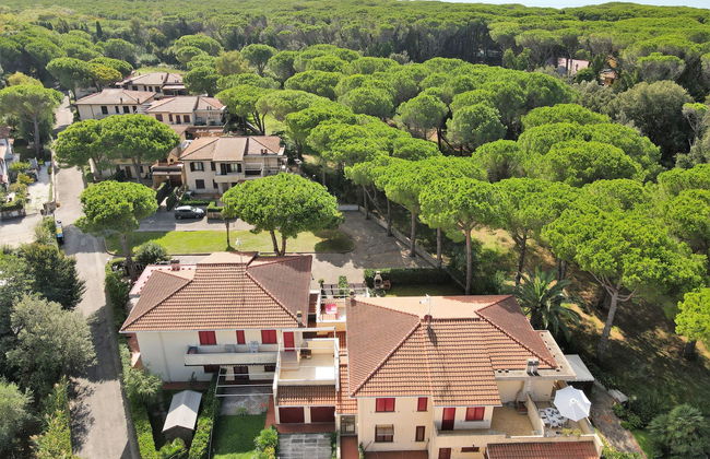 Pineforest - Foto 23