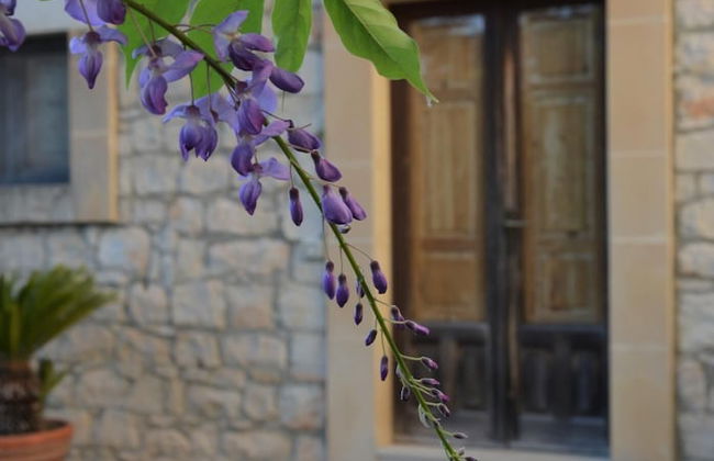 Villa de Leva - Casa Gialla - Foto 29