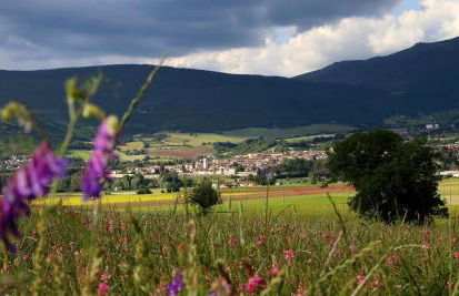 Agriturismo La Cascina di Opaco - Foto 22