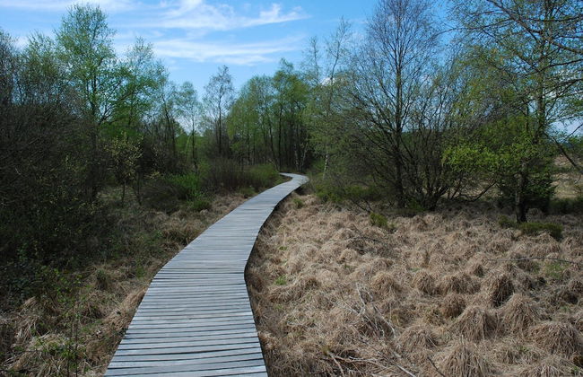 Apartment Near Forest in Nidrum - Foto 26