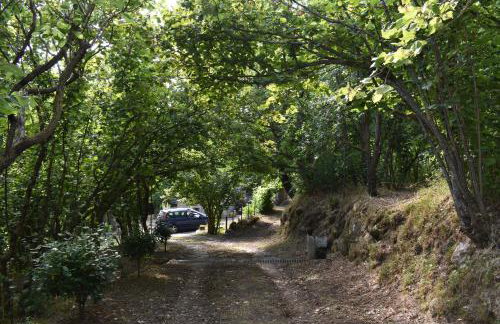 Agriturismo Fontanapietra - Foto 18