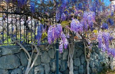 Casa Bella - Foto 40