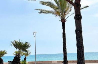 Appartement bord de mer « La Petite Ma-Line » - Foto 30