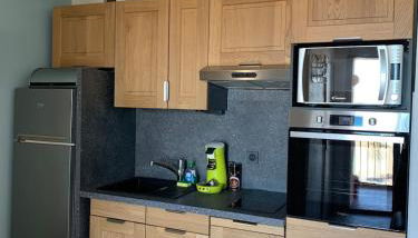 Appt cozy terrasse front de mer clim parking wifi - Foto 4, stove, dishwasher, toaster