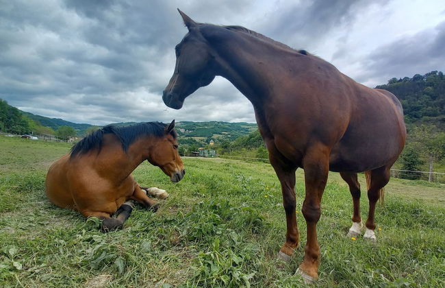 Agriturismo Campo Rosso - Foto 53