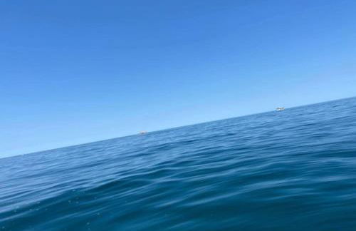 Quirky Cottage with Private Garden Nr New Quay Cardigan Bay - Photo 20