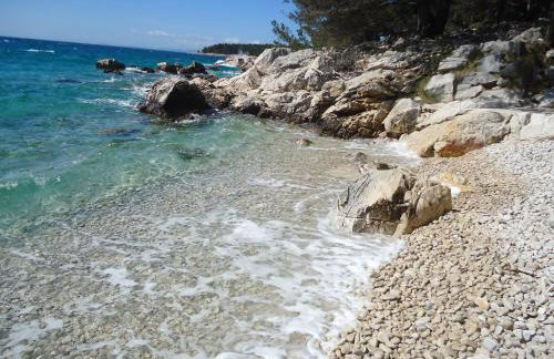 M. DE DOMINISA 5 - Foto 51