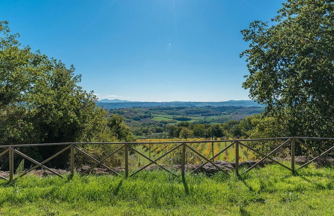 Santa Illuminata 20 12 - Foto 12