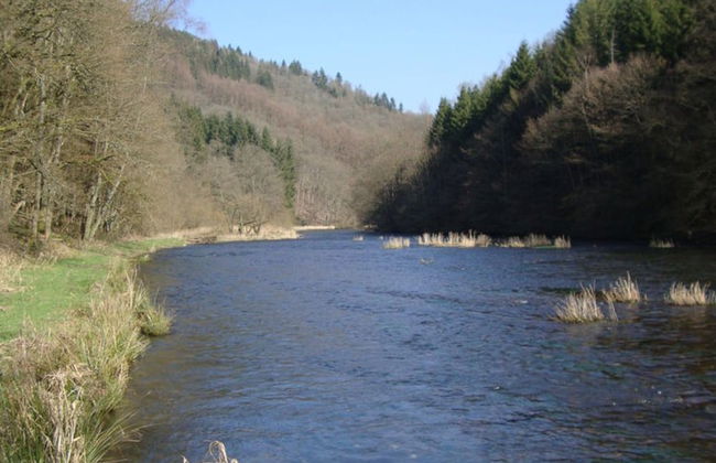 Holiday Home in La Roche en Ardennes - Photo 24