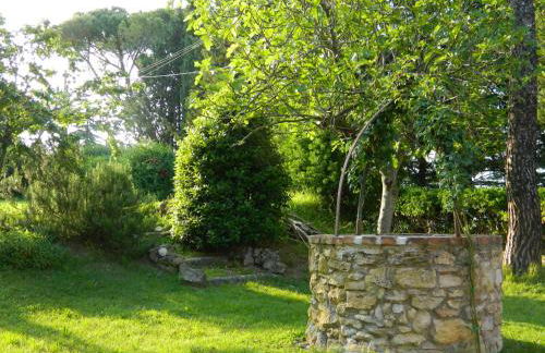 Agriturismo Campo al Sole - Foto 14