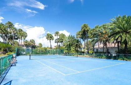 Yellow Bird - Foto 53