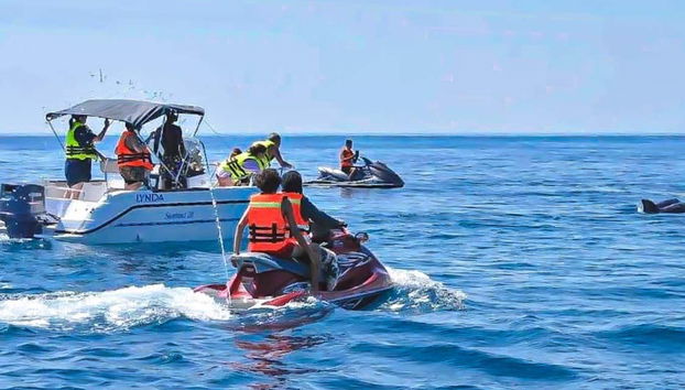 Una moto de agua junto a un barco viendo delfines