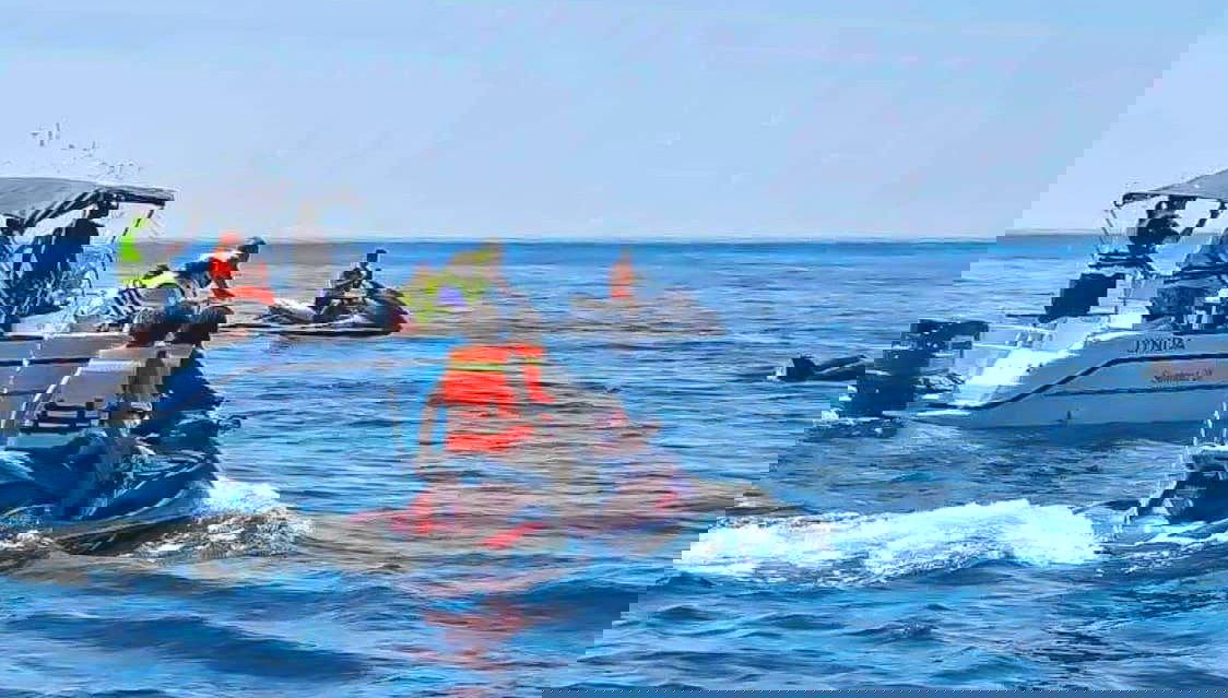 Jet skis à côté de dauphins