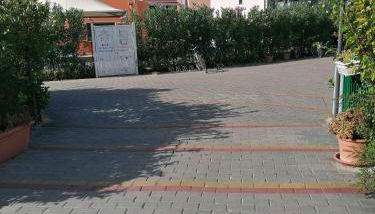 Stella marina - Foto 4