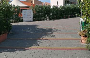 Stella marina - Foto 4