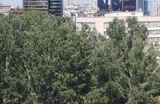 Studio Batorego, Panoramic Excellent View - Foto 15