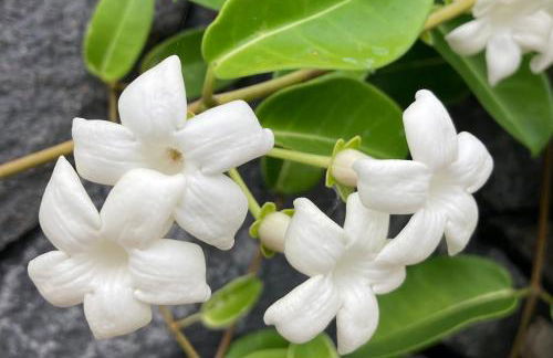 Casa Julietta - Foto 26